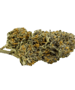 Alternative view of Redecan - Wappa (INDICA)