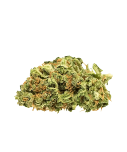 Alternative view of Good Supply - Jean Guy (SATIVA)