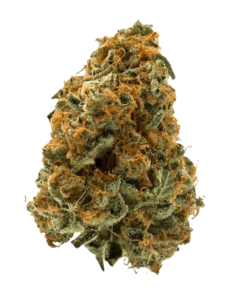 Alternative view of MTL Cannabis - Sage n' Sour (SATIVA)