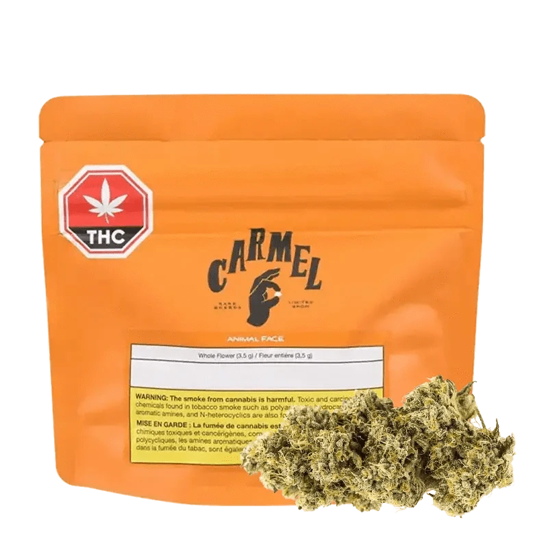 Carmel - Animal Face (SATIVA)