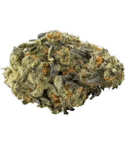 Alternative view of Big Bag O' Buds - I.C.C. (INDICA)