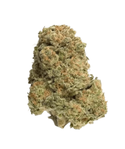 Alternative view of Homestead - Bandwagon Indica