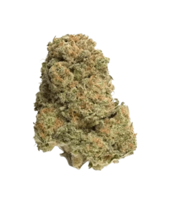 Alternative view of Homestead - Bandwagon Sativa