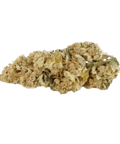 Alternative view of Back Forty - Wedding Pie (INDICA)