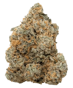 Alternative view of The Loud Plug - Exotic Gas (HYBRID)