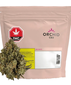 Orchid CBD - CBD Runtz (HYBRID)