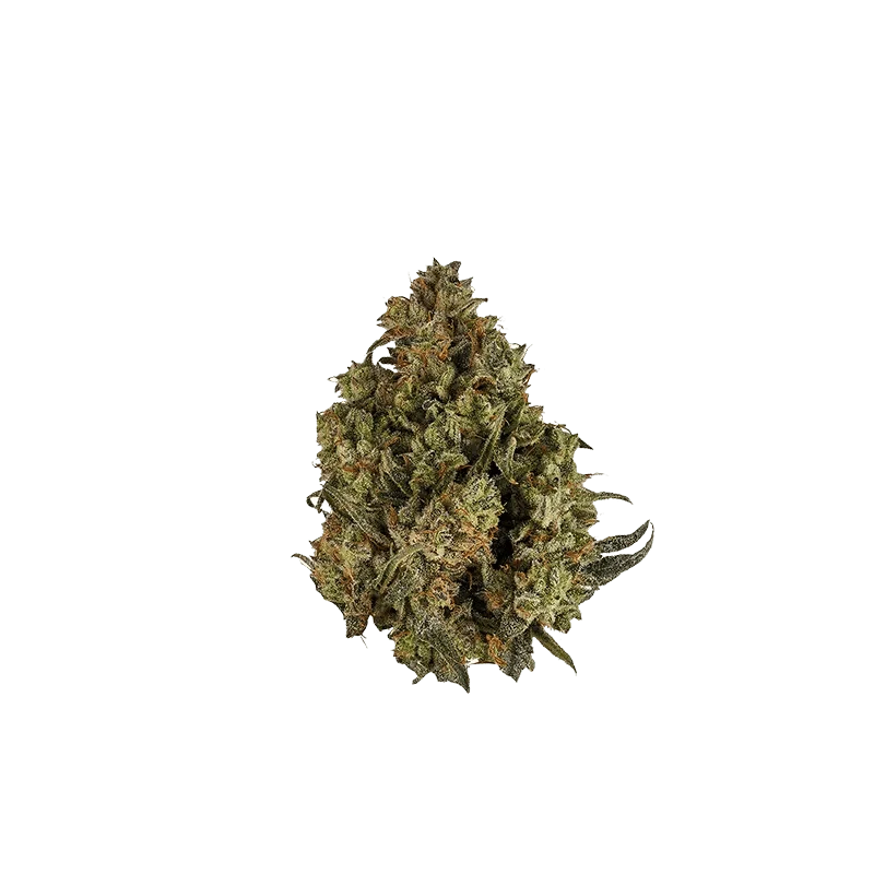 Orchid CBD - CBD Runtz (HYBRID) - Image 2