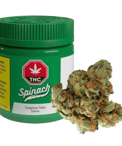 Spinach - Tangerine Twist (SATIVA)