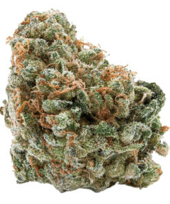 Alternative view of Spinach - Wedding Cake (INDICA)