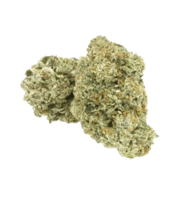 Alternative view of 1964 - Organic Comatose (INDICA)