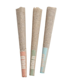 Alternative view of Bold - Craft Sampler PR 3 x 0.5 g (HYBRID)