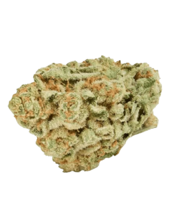 Alternative view of Good Supply - Sweet Berry Kush (INDICA)