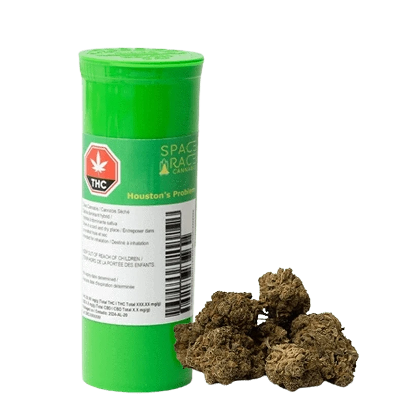 Space Race - Houston's Problem (SATIVA)