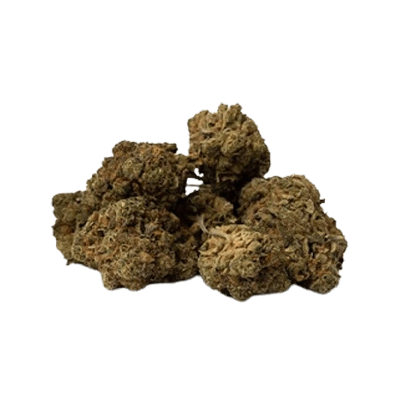 Space Race - Houston's Problem (SATIVA) - Image 2