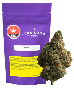 The Loud Plug - Exotic Gas (INDICA)