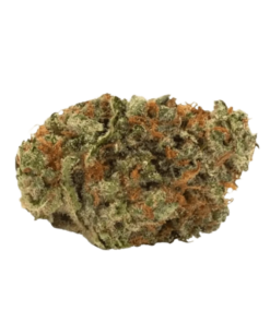 Alternative view of Hiway - Slow Lane (INDICA)