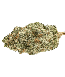 Alternative view of Soar - Pineapple God (INDICA)