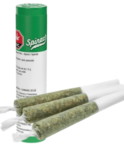 Spinach - Frosted Cream Puffs PR 3 x 0.5 g (HYBRID)