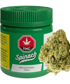 Spinach - Kiwi Lime Punch (INDICA)