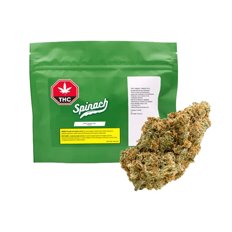 Spinach - Sonic Lemon Fuel (SATIVA)