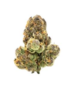 Alternative view of Spinach - Green Monster Breath (INDICA)