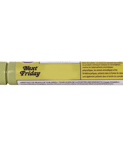 Next Friday - Research Institute (HYBRID)