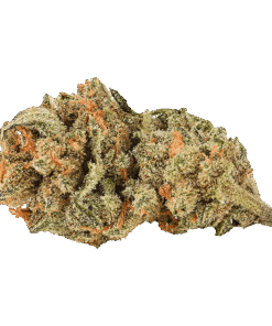 Alternative view of Back Forty - Panda Puff (INDICA)