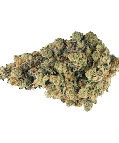 Alternative view of Broken Coast - Sour OG (SATIVA)