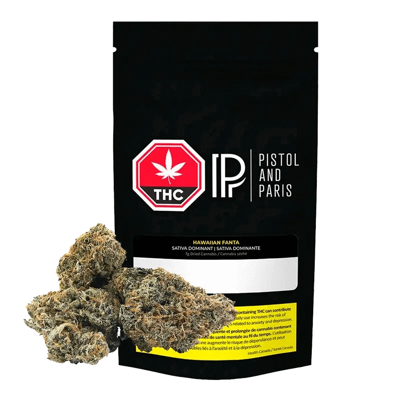 Pistol and Paris - Hawaiian Fanta (HYBRID)