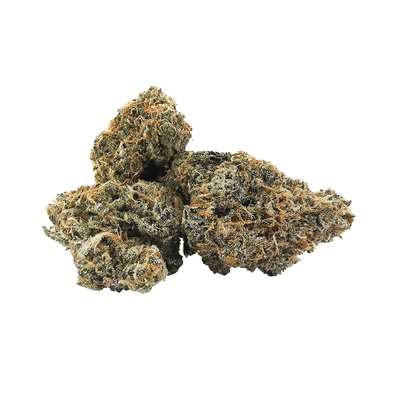 Pistol and Paris - Hawaiian Fanta (HYBRID) - Image 2