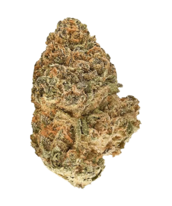 Alternative view of Redecan - Animal Rntz (INDICA)