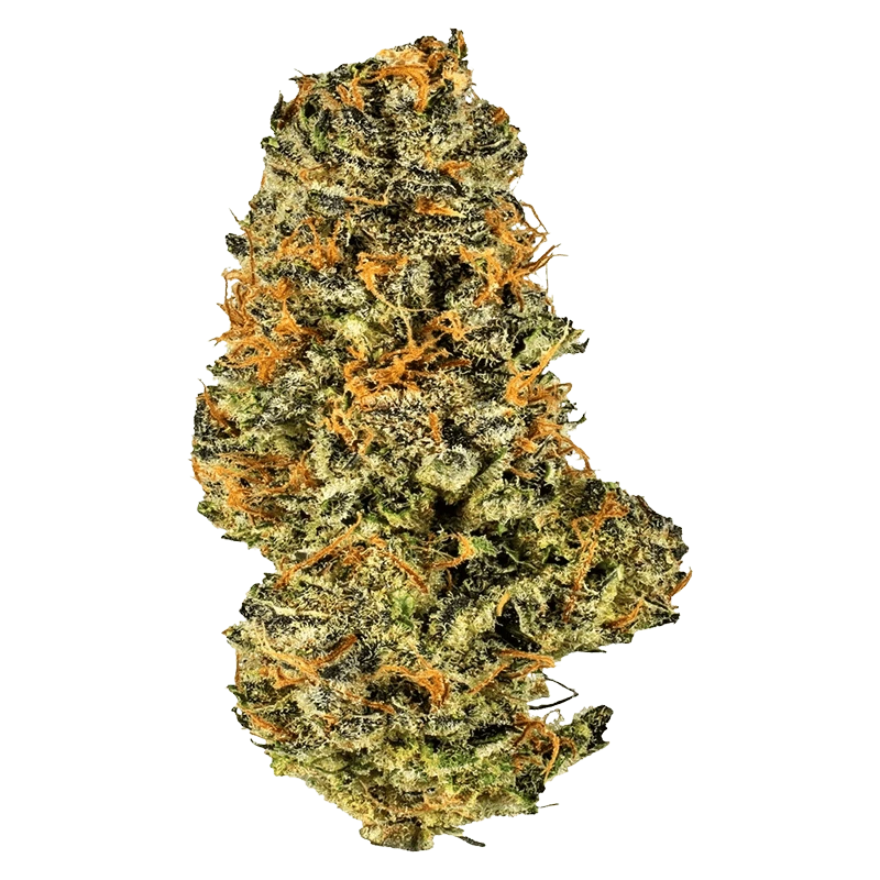 Potluck - Mac and Cheese (HYBRID) - Image 2