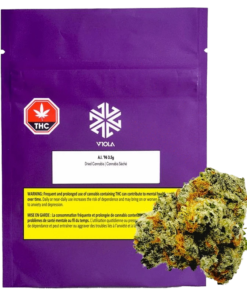 Viola - AI '96 (INDICA)