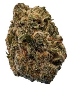 Alternative view of Versus - BC Purple Kush (INDICA)