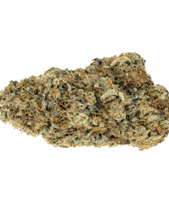 Alternative view of Woody Nelson - Rainbow Driver Craft (HYBRID)