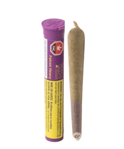 Space Race - Falcon Heavy PR 1 x 1 g (INDICA)