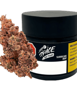 C Space - Slurricane Mint (HYBRID)