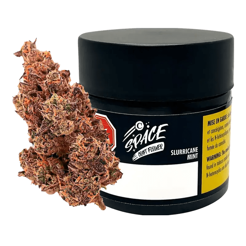 C Space - Slurricane Mint (HYBRID)