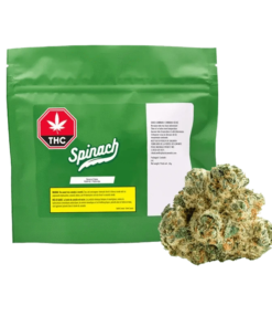 Spinach - Space Cake (HYBRID)