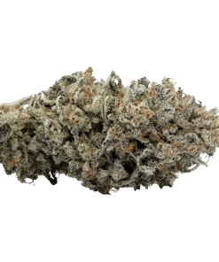 Alternative view of Volo - MAC V2 (INDICA)