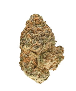 Alternative view of Redecan - Animal Rntz (INDICA)