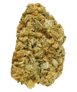 Alternative view of Good Supply - Master Mazar Kush (INDICA)