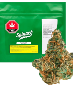 Spinach - Frosted Cream Puffs (INDICA)