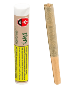 Divvy - Roll Up Sativa PR 1 x 0.5 g