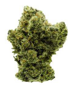 Alternative view of Snicklefritz - Rotating Indica