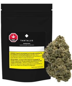 Snicklefritz - Rotating Indica