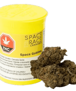 Space Race - Space Goblins (SATIVA)