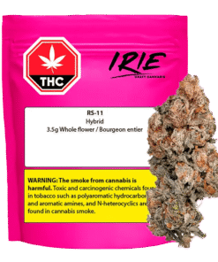 Irie Craft - RS-11 (HYBRID)