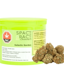 Space Race - Galactic Garden (HYBRID)