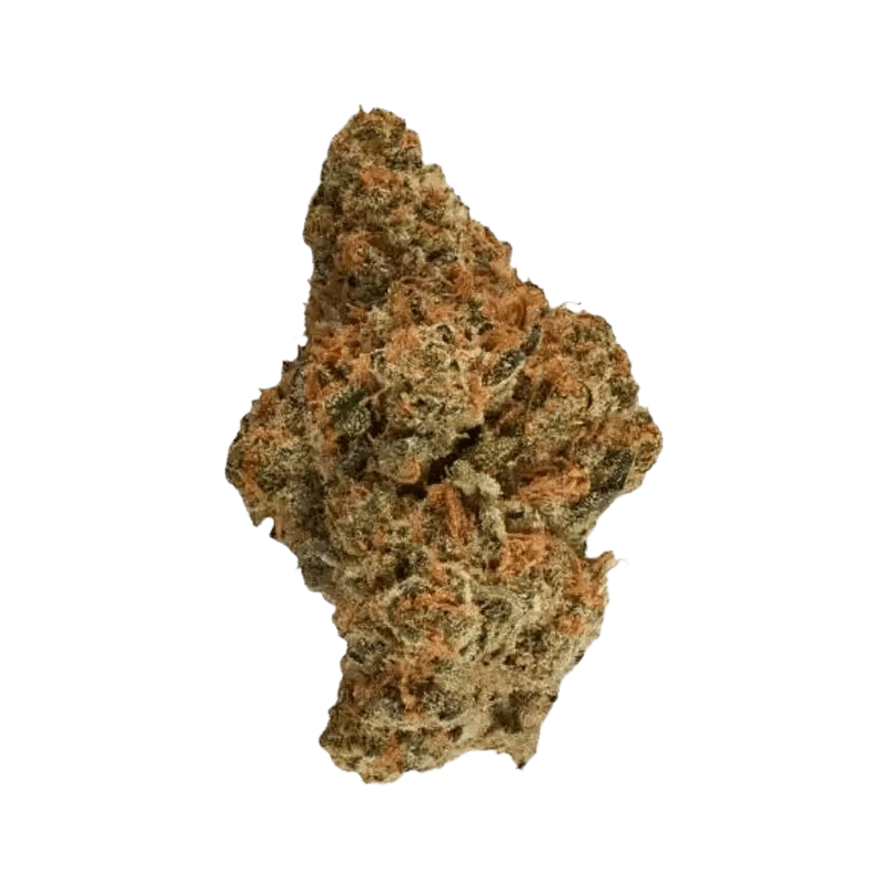 Canaca - Headbanger (SATIVA) - Image 2
